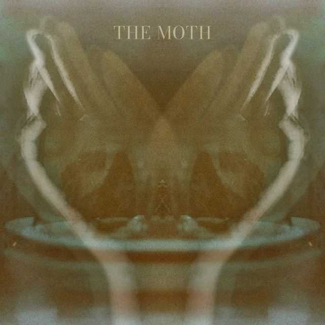 The Moth
