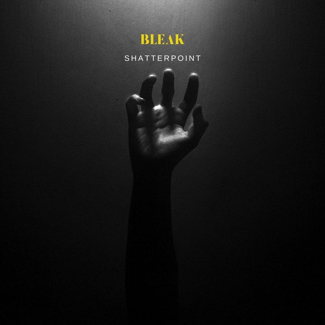 Shatterpoint cover art