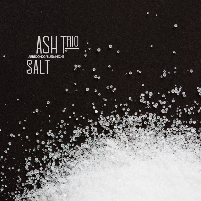 Salt cover art