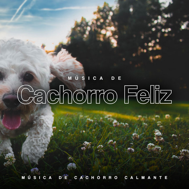 Música de Cachorro Feliz - Album by Música de Cachorro Calmante | Spotify
