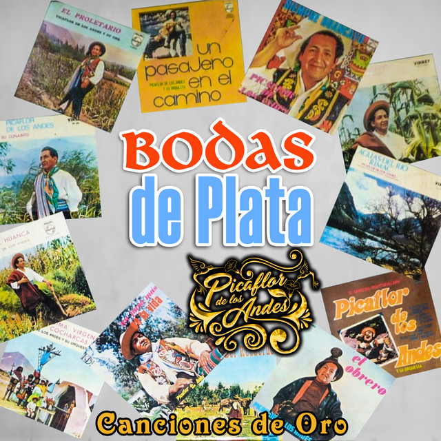 Picaflor De Los Andes Un Pasajero En Tu Camino