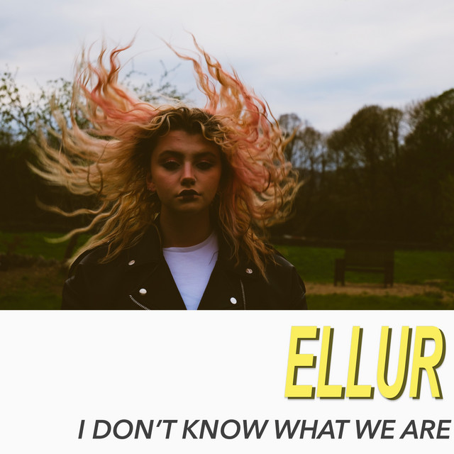 I Don't Know What We Are cover art