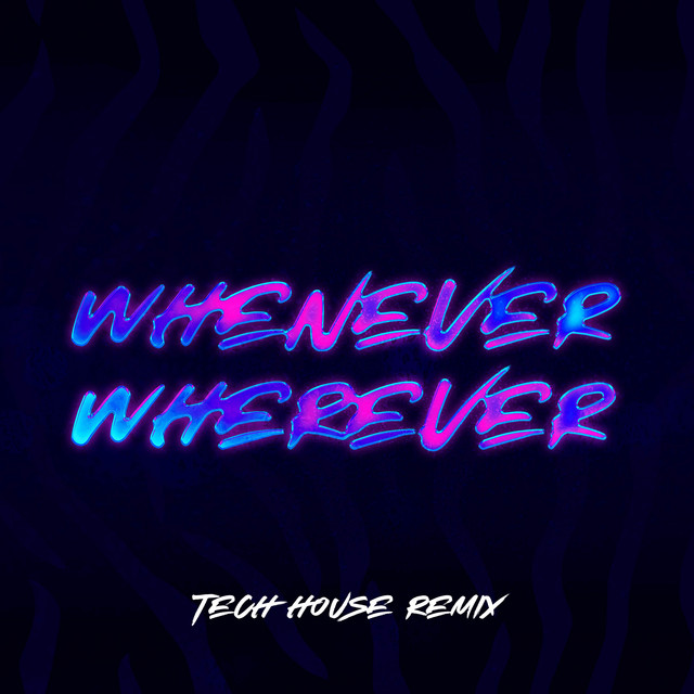 Whenever Wherever - Tech House Remix