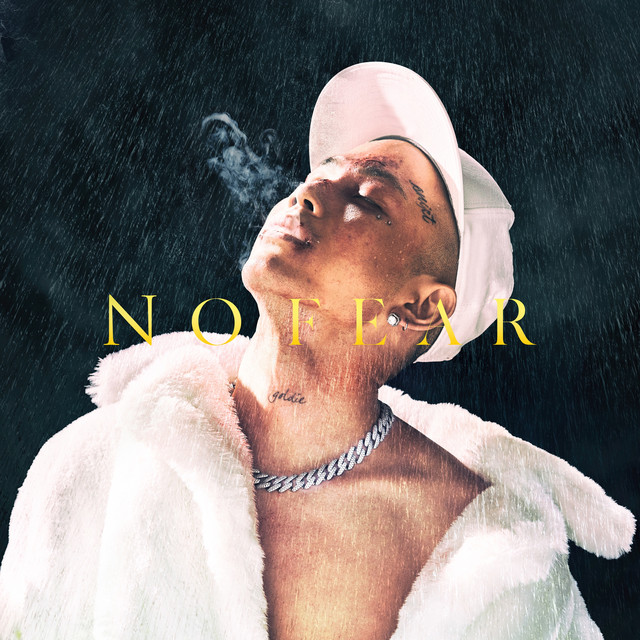 NO FEAR cover art