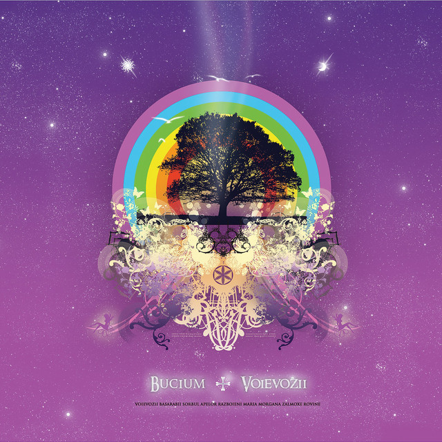 Voievozii cover art