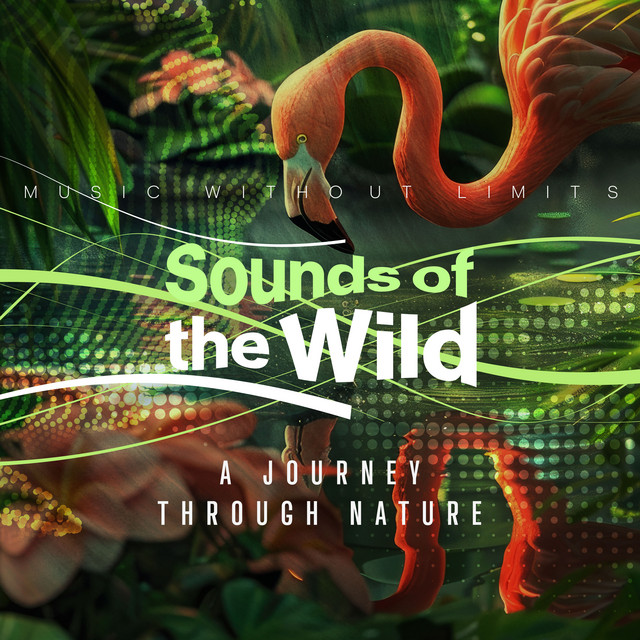 Cover art for Miroslav Pyatnikov — Sounds of the Wild - A Journey Through Nature