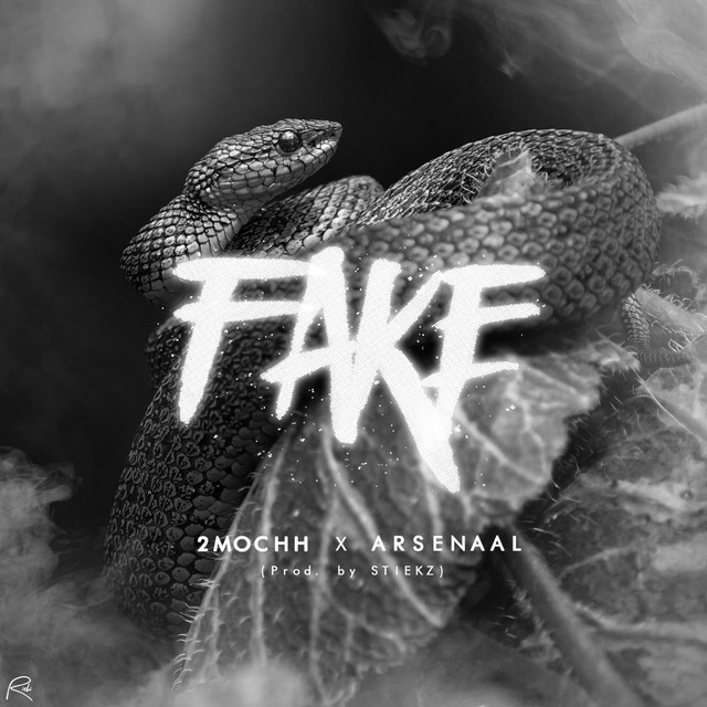 Fake - Single by 2mochh | Spotify