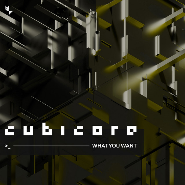 Обкладинка: What You Want — Cubicore