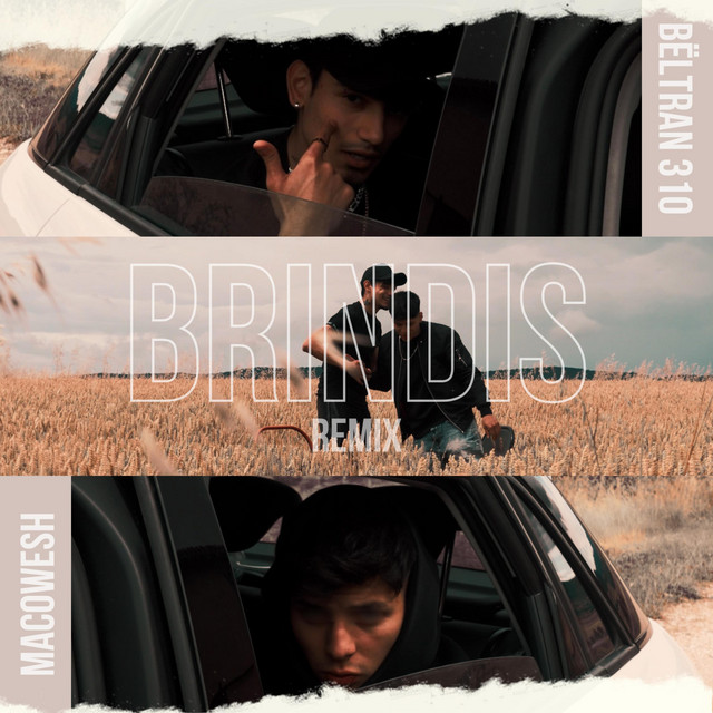 Brindis (Remix) cover art