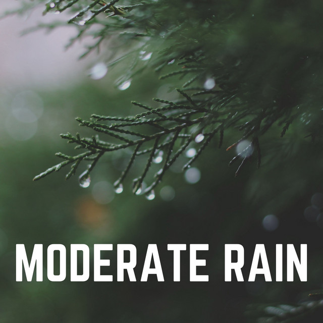 Moderate Rain - Album by Rain Sound Studio | Spotify