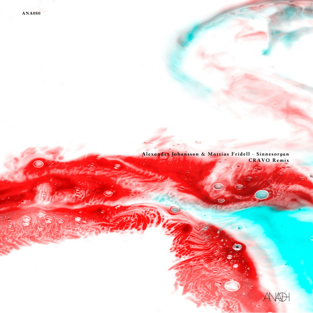Sinnesorgan I album art