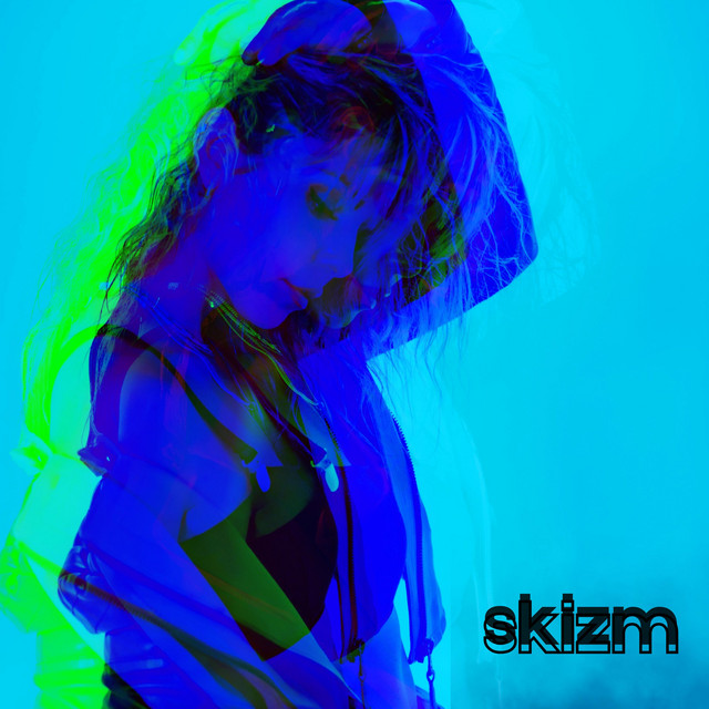 skizm cover art