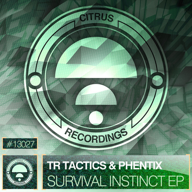 Survival Instinct - Original Mix artwork
