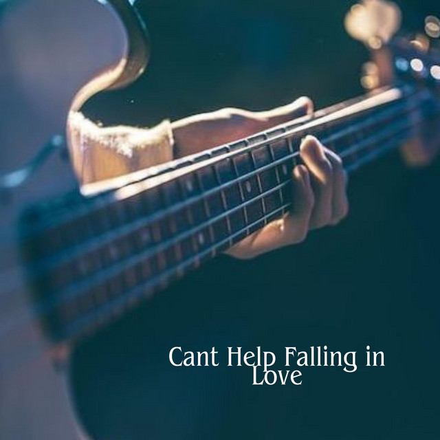 Cant Help Falling in Love