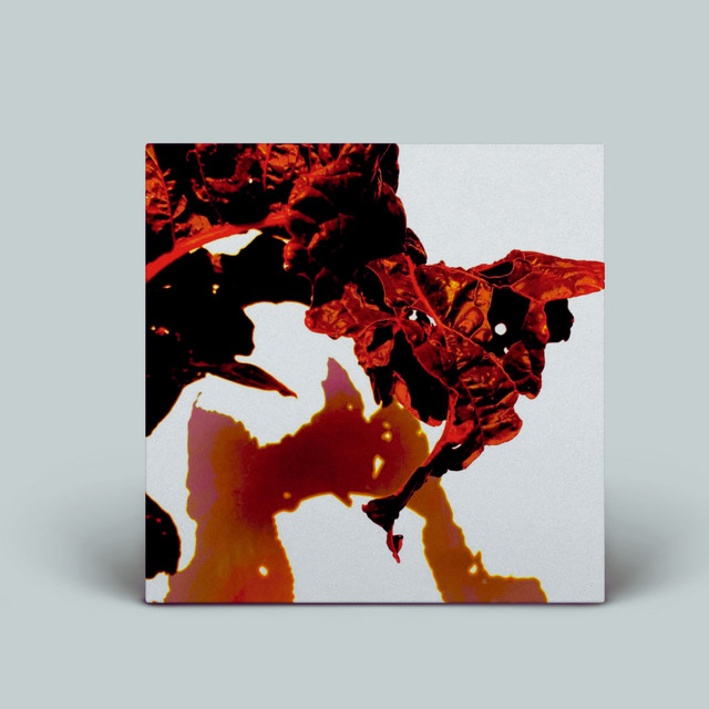 Rotation cover art