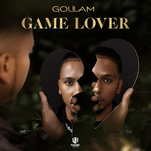 Game Lover cover art