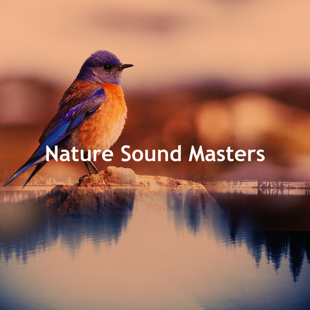 Nature Sound Masters - Album by Bird and Nature Sounds | Spotify