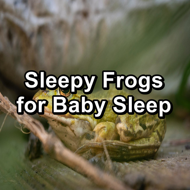 Forest Frog Sounds cover art