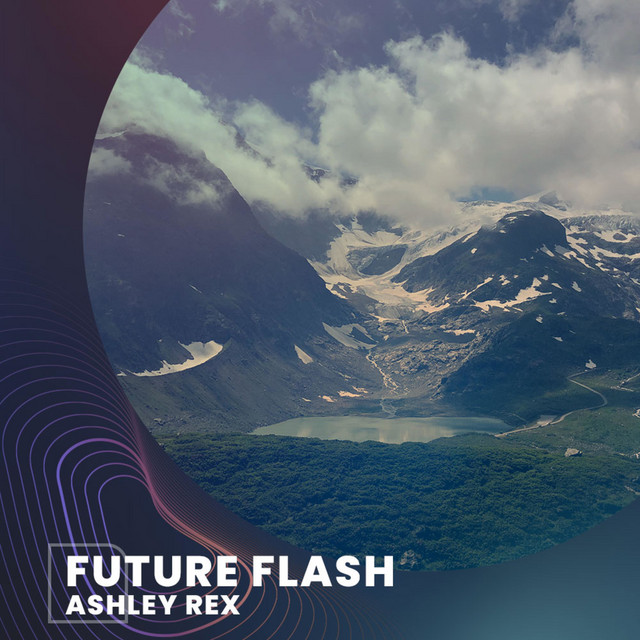 Future Flash cover art