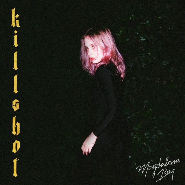 Killshot cover art