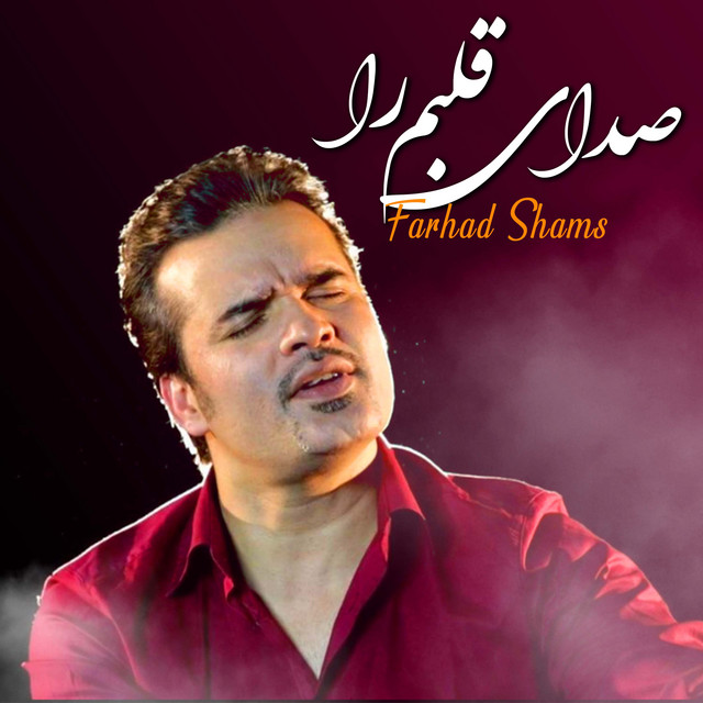 song-and-lyrics-by-farhad-shams-spotify
