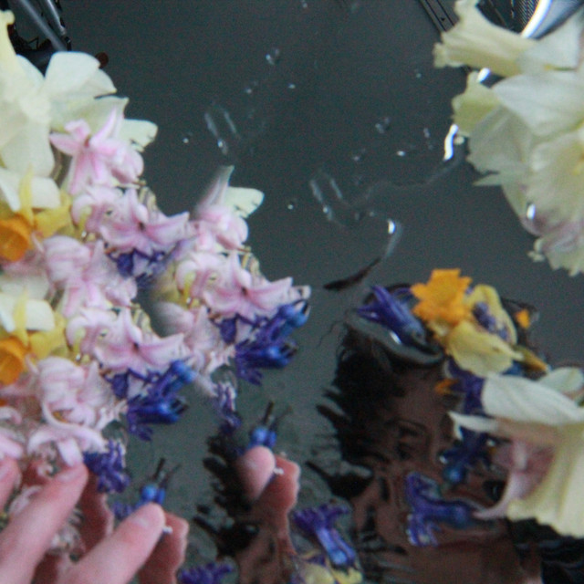 Обкладинка: FIVES IN BLOOM — cafe ptakh