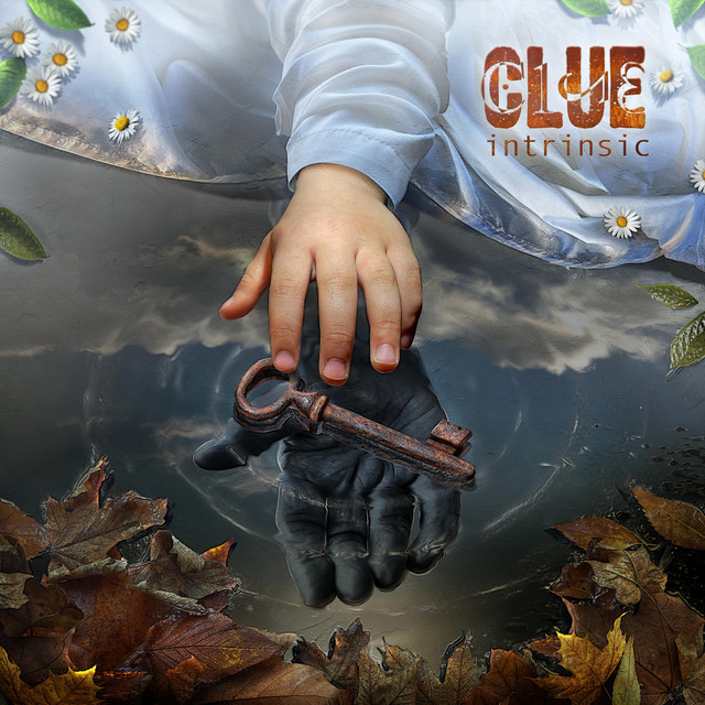 Intrinsic cover art