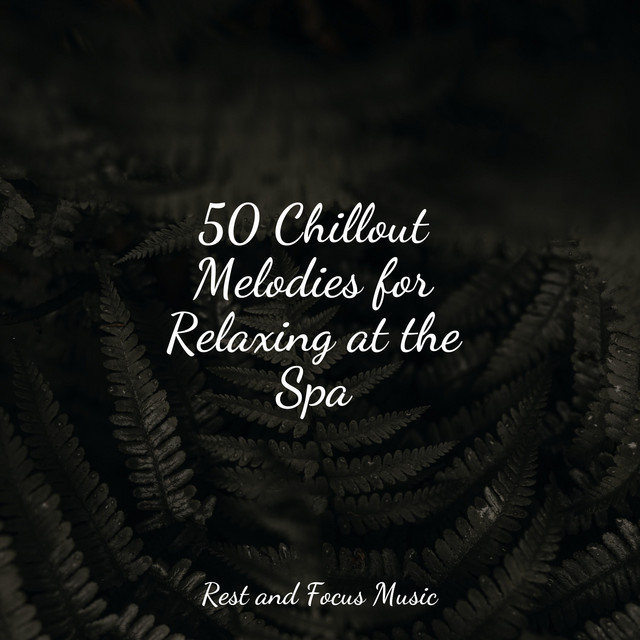 50 Chillout Melodies for Relaxing at the Spa - Album by Chakra ...