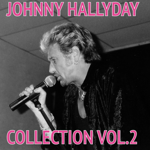 HALLYDAY 希少品/あなたのジョニー・ハリデイ/JOHNNY