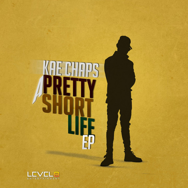 A Pretty Short Life cover art