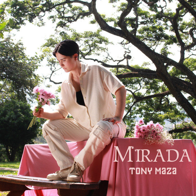 Portada de Mirada