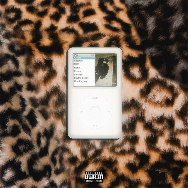 Cheetah Print Musik cover art