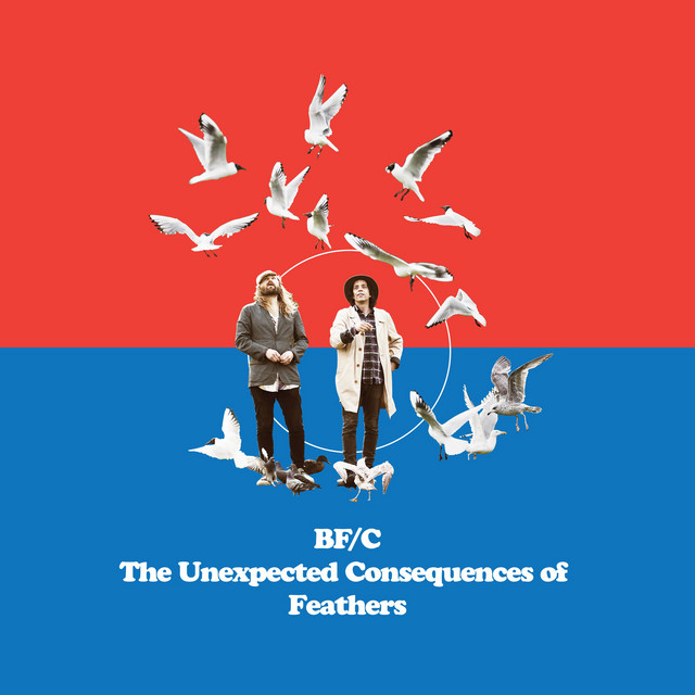 The Unexpected Consequences of Feathers cover art
