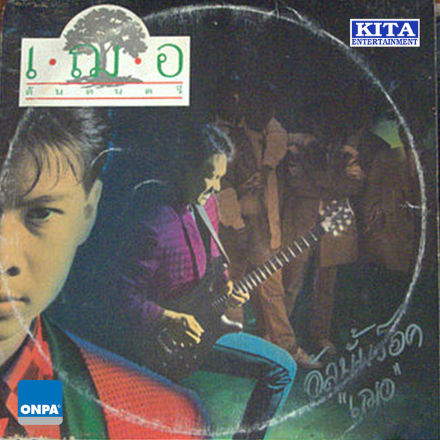 ต้นดนตรี cover art