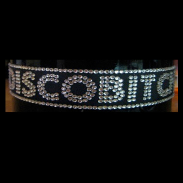 Disco Bitch EP cover art