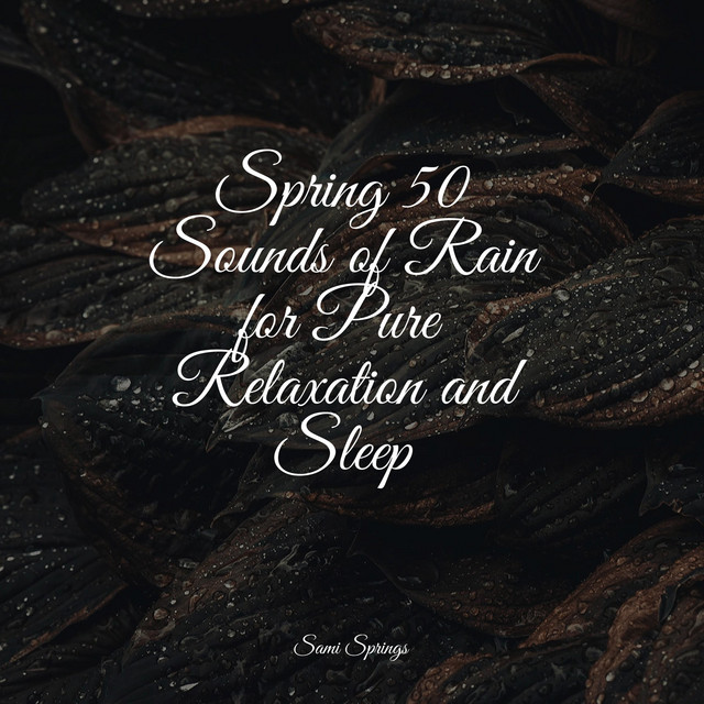 Spring 50 Sounds of Rain for Pure Relaxation and Sleep - Album by Yoga ...