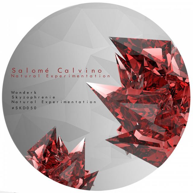 Salomé Calvino