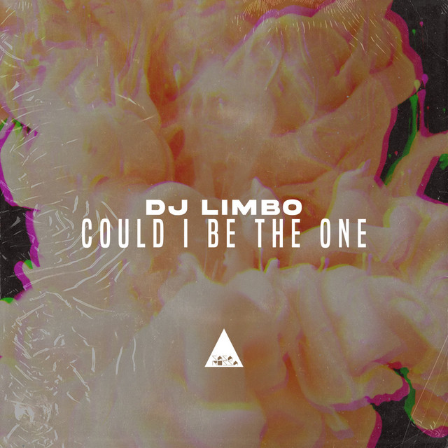 Could I Be the One album art