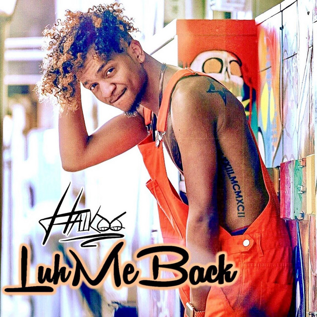 Luh Me Back - Single by Haikoo | Spotify