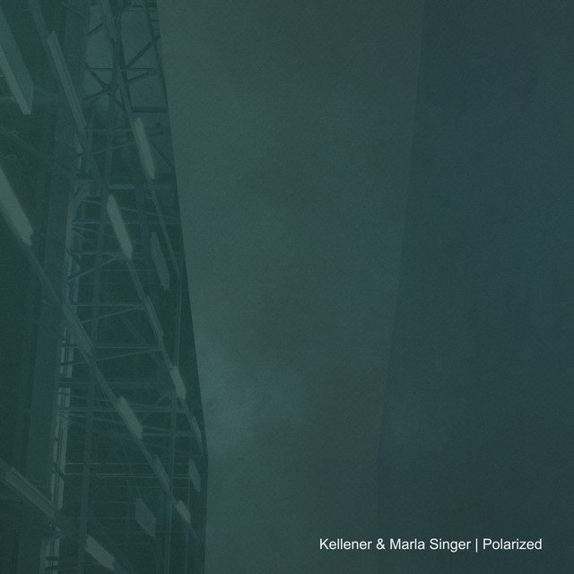 Polarized cover art