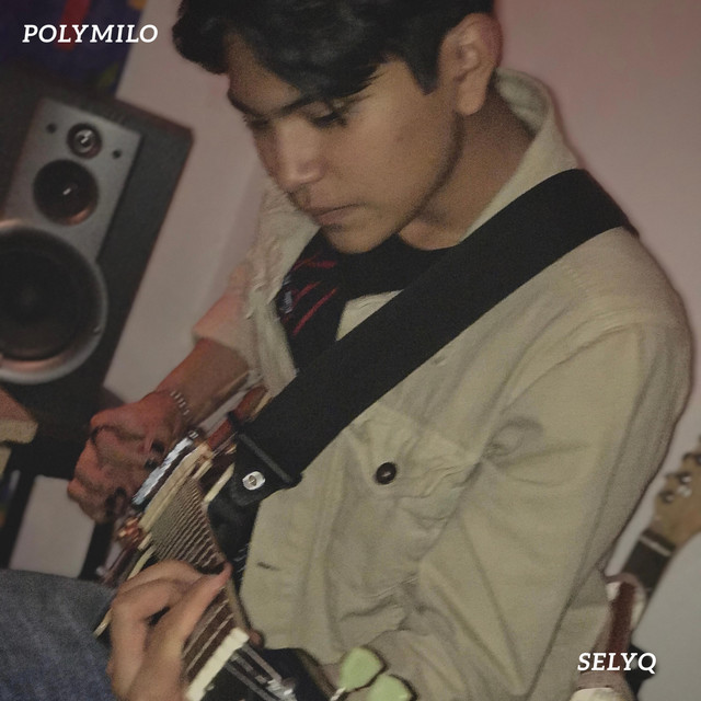 Seguiremos Estando Locos... ¿Y Qué? cover art
