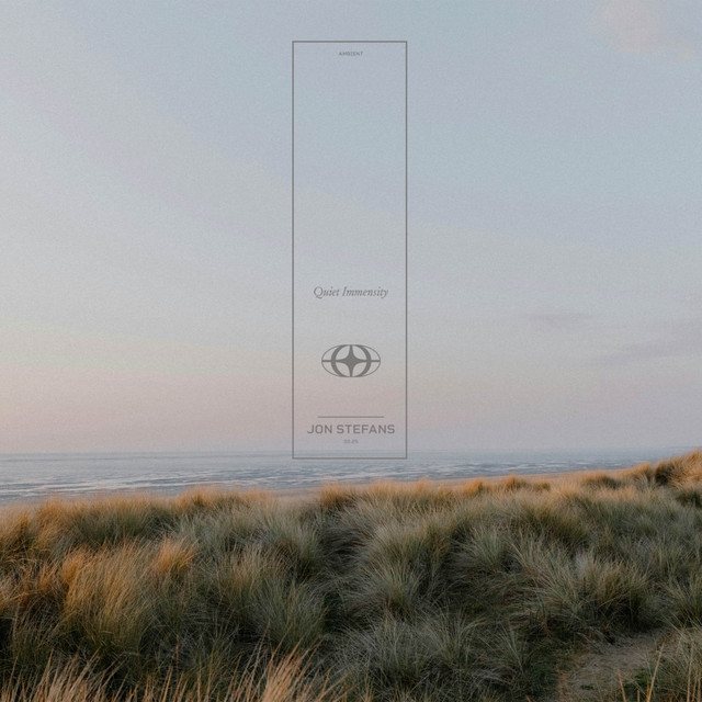 Quiet Immensity cover art