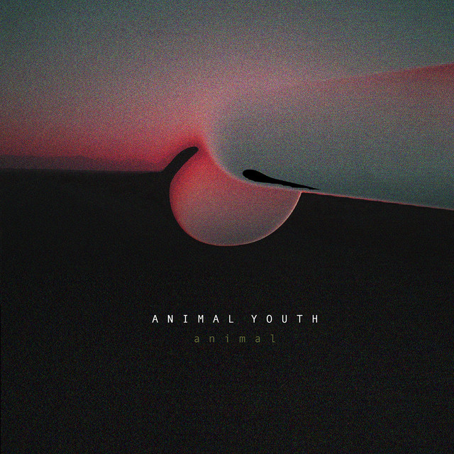 Animal Youth