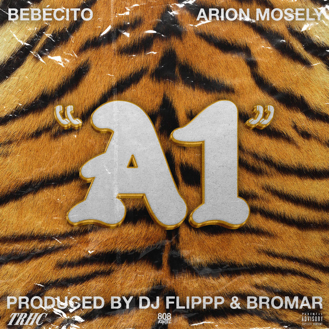 A1 cover art