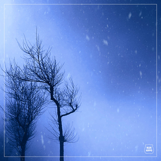 Until It Snows