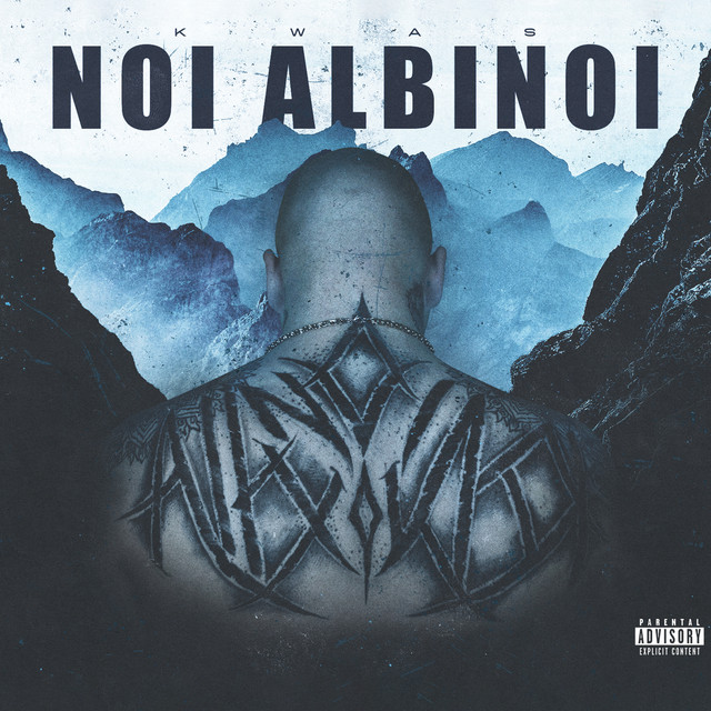 Noi Albinoi cover art