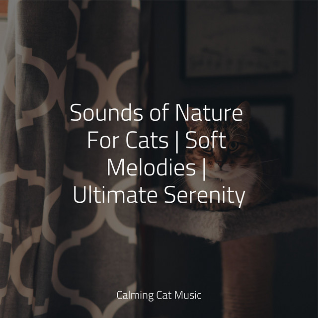 Sounds of Nature For Cats | Soft Melodies | Ultimate Serenity - Album ...