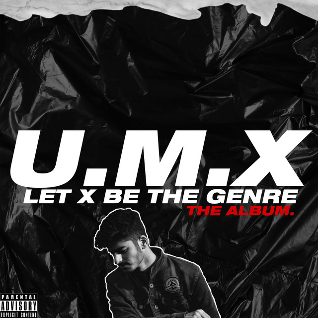 Let X Be The Genre cover art