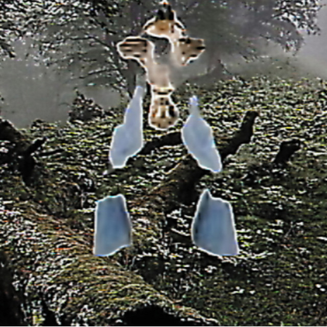 PLAY-BOY cover art