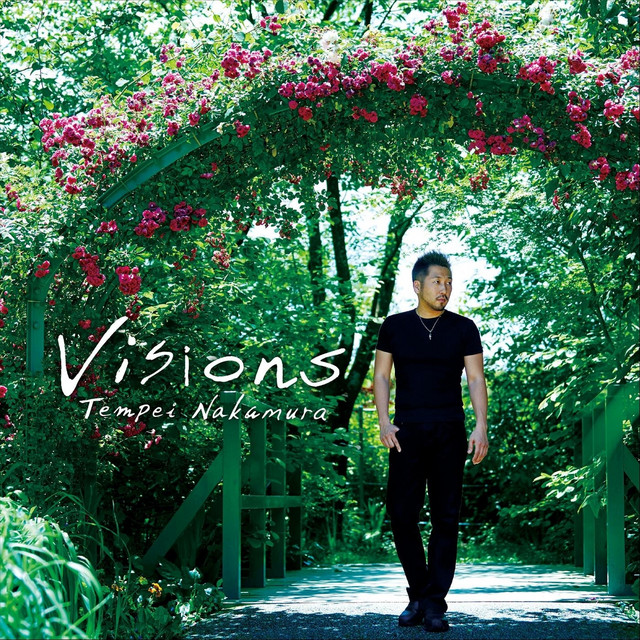 Visions cover art